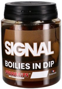 Starbaits Boilies v dipu Signal 24mm 150g