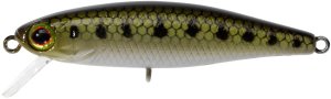 Illex Wobbler Tiny Fry 50 SP Goujon