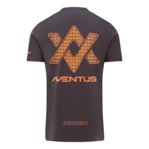 Guru Aventus Tee Charcoal vel. XL