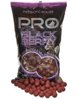 Starbaits Boilies Pro Blackberry 14mm 2,5kg