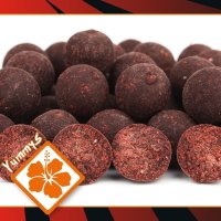 Imperial Baits Boilies Elite Strawberry 24mm 5kg